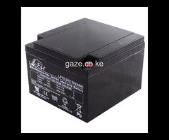12V 24AH Sealed Lead Acid (SLA) Battery